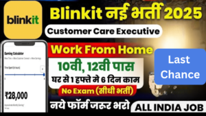 Blinkit Work From Home Job 2025